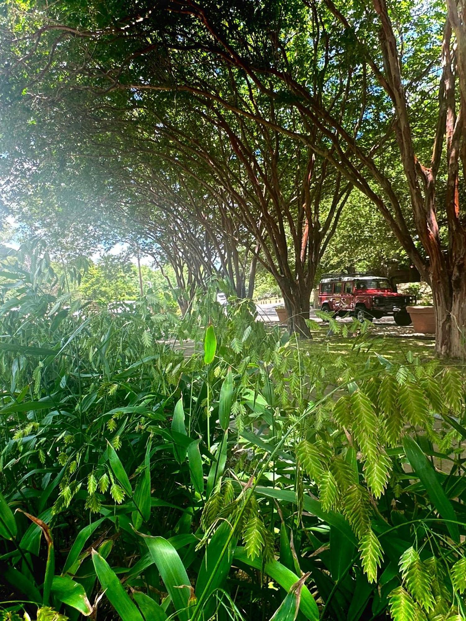 Lake Austin Spa Resort Exterior photo