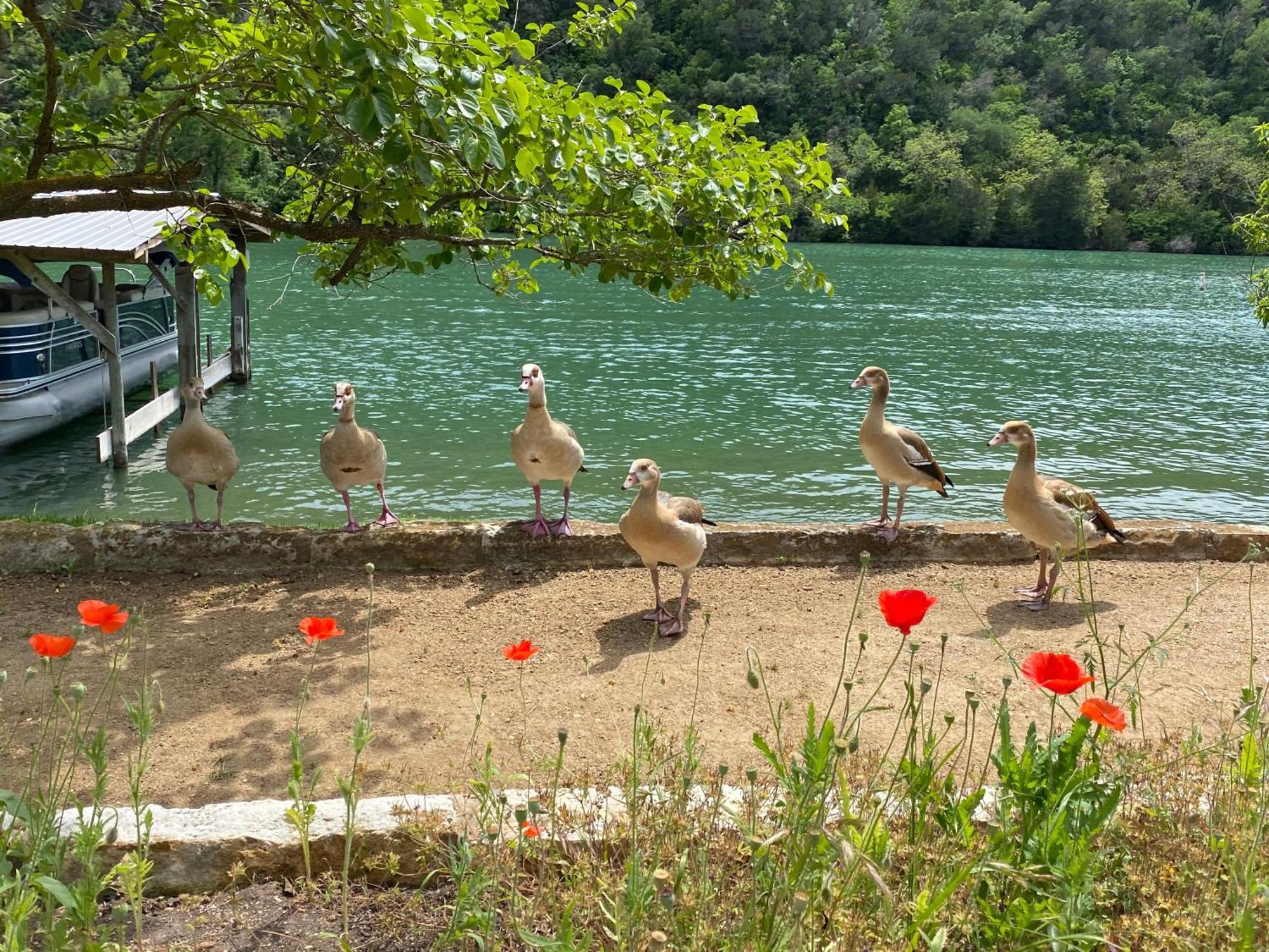 Lake Austin Spa Resort Exterior photo